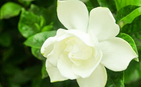 �d�ӻ��_���� 