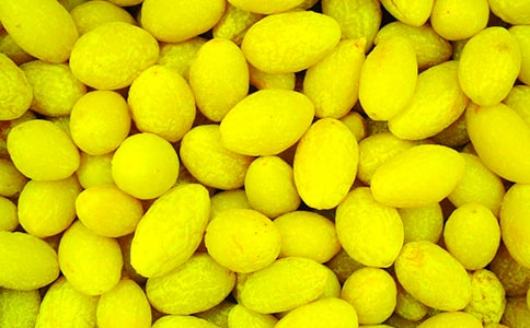 ��Ҳ��^һö���ϙ�����8ƪ[��Ʒ]