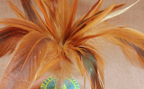 毽球聯賽年度工作總結