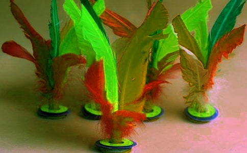 毽球聯(lián)賽工作總結(jié)范文