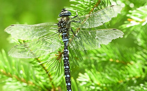 ׽�������ģ����x49ƪ��