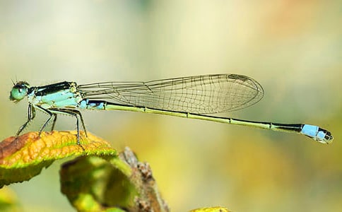 ׽��������[����]