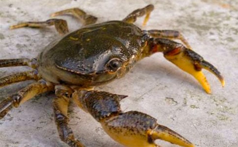 ���з����15ƪ�����]��