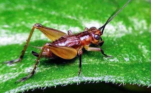 �����סլ����һ�n�r�̌W�OӋ