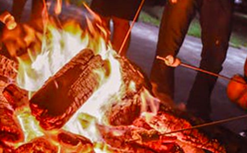 ������������~��ͨ��8ƪ��