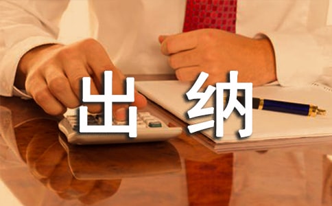 公司個人出納工作總結14篇