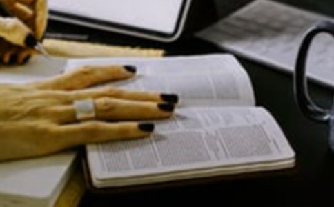 《世界名人》讀后感