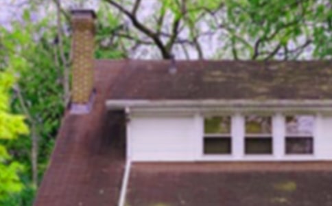 �t�����x���