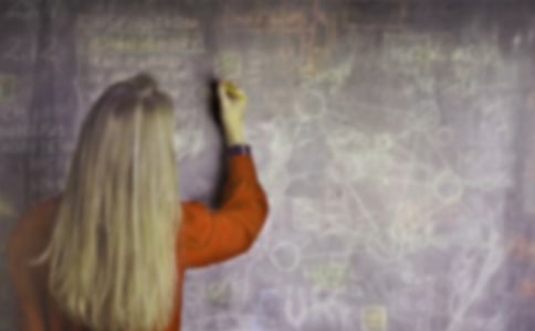 С�WӢ�Z�̎��όW�ڂ��˹������Y