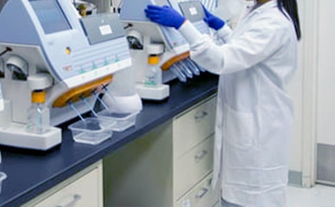 語文科教研工作計劃