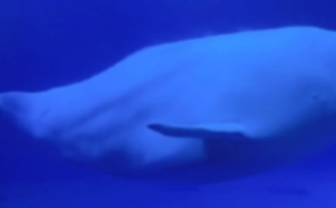 �L�~���������ă��㣨15ƪ��