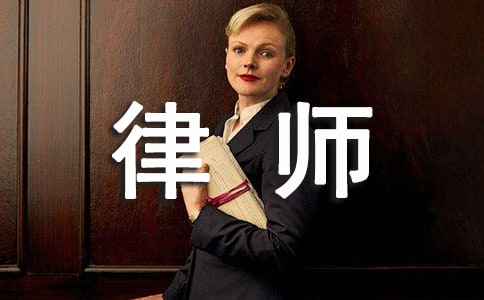 律師年度個人工作總結(jié)(精選15篇)