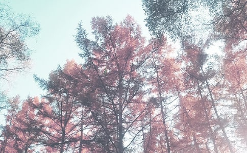 �а��＾�༉����Ӌ��