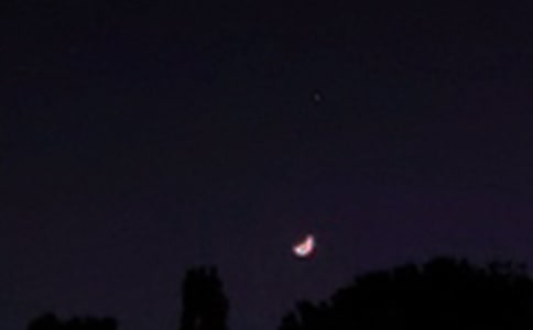 �����T(m��n)����ܰ���������Z(y��)���ŅR��81�l