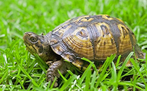 �����A��������������300����ƪ