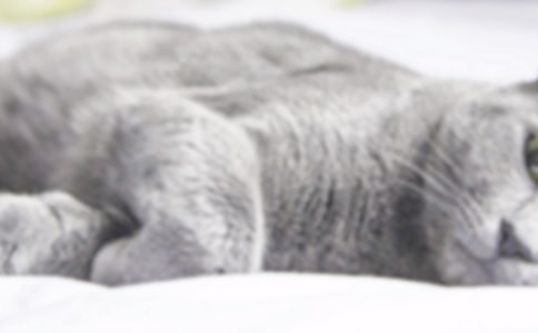 ���P(gu��n)С؈��(y��u)������400���\��6ƪ