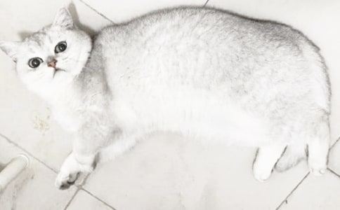 ���P(gu��n)С؈��(y��u)������400�ֺϼ�ʮƪ