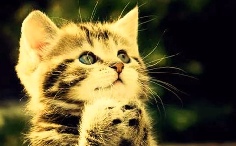 �Ҽҵ�С؈��(y��u)������600����ƪ