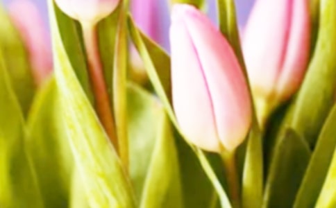 �P�������������[����]