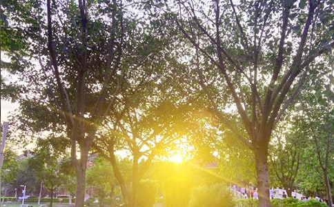 ���õ��簲ף���Z�Z�28��