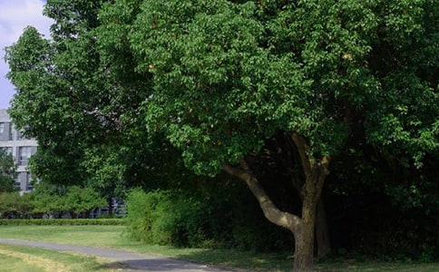 �����A���������簲����Ȧ�����Z22�l