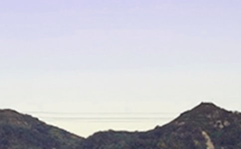 簡單治愈早安短信通用