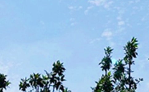 ���̵�ÿ��һ���簲���Z�����\��30��