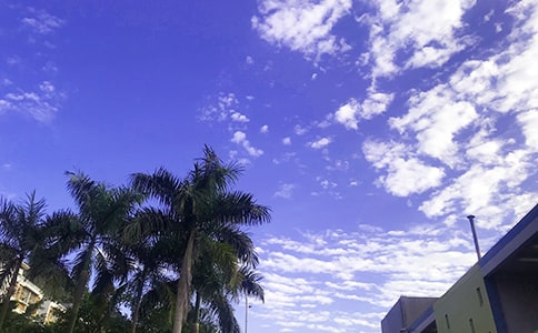 �簲�Ć����Z