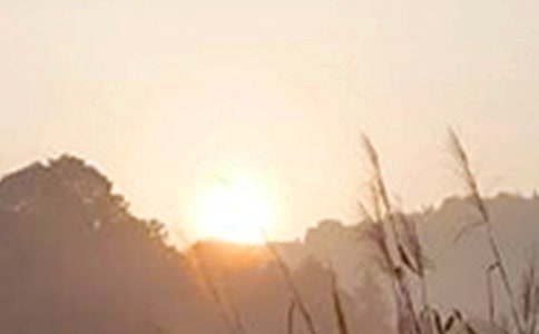 【推薦】2026年唯美的早安心語短信集合58句