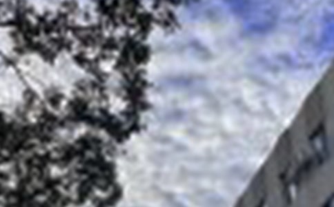 �P���簲��Ψ������