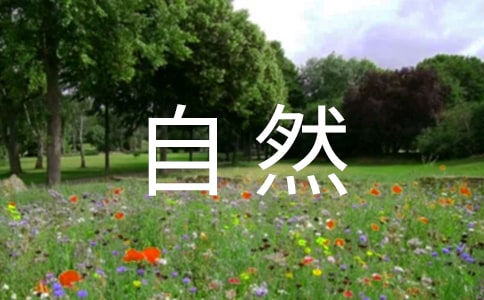 自然博物館個人觀后感