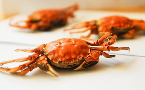 ���з����[��(y��u)�x15ƪ]