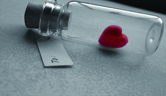 ���TΨ����(��i)�����