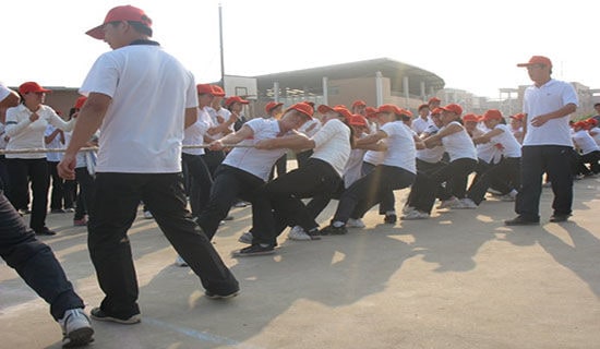 �κ�����600�֣�����3ƪ��