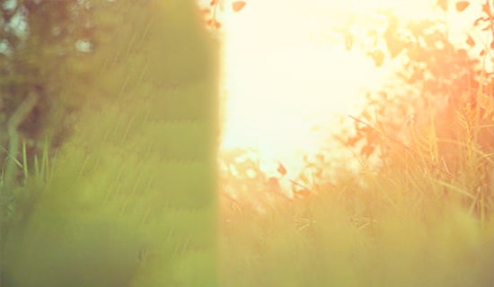 經典一月再見,二月你好唯美說說30句