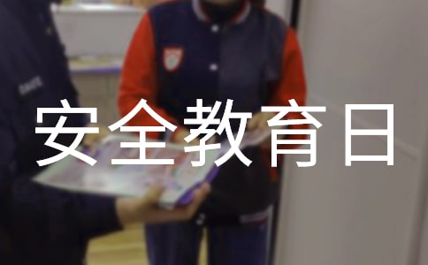 安全教育日主題活動方案