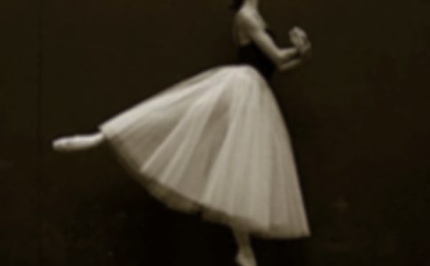 ���������ķ���