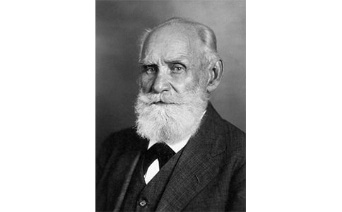 巴甫洛夫很忙讀后感