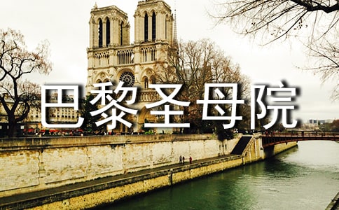 巴黎圣母院讀后感(薦)