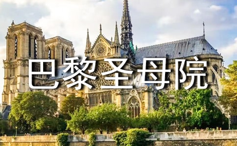 巴黎圣母院讀書心得(合集15篇)
