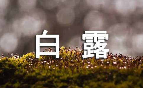 2023年白露是幾月幾日(精選)