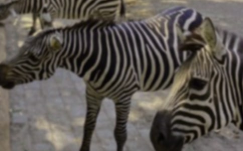 �а���R���g��ӽ̰�