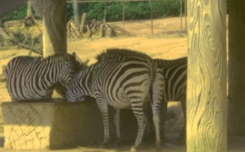 �Y׌���R�������^�R·����