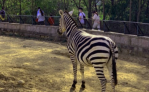 �а���R���g��ӽ̰�