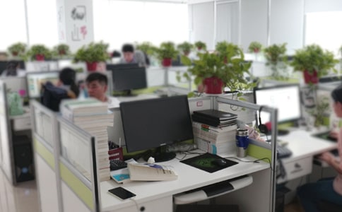 辦公室助理實習報告(15篇)