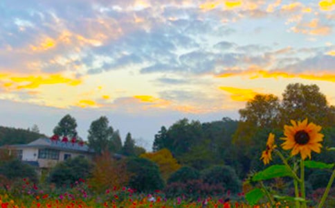 С�^�İ�������