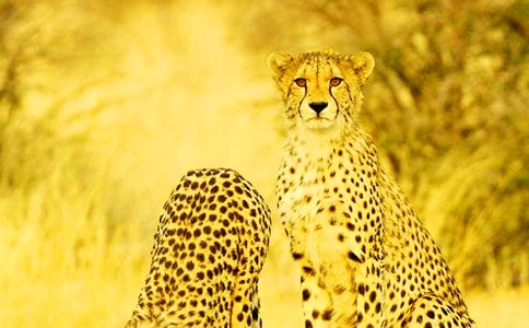 ���ӵ�����15ƪ(�؂�)