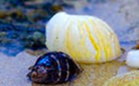 �������ǂ�(g��)������700�֣���������ؐ����������