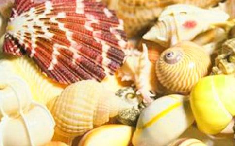 ����ؐ����С�W���ģ����x4ƪ��