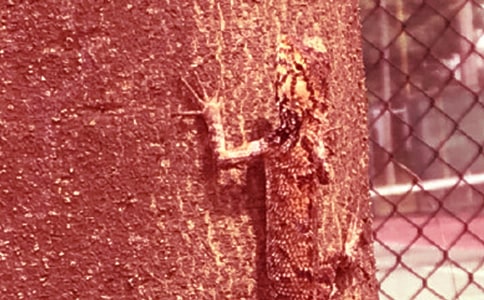 ����С�ڻ���β�ͽ̌W�OӋ